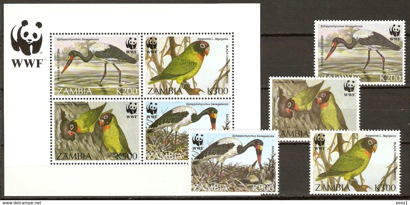 Zambia 1996 WWF BIRDS Stork  Parrots 4v + S\sh ( !! 206 EURO MICHEL !! ) MNH** - Unused Stamps