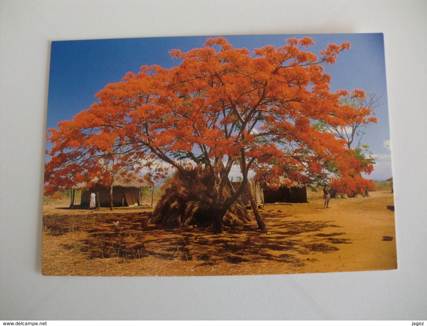 Postcard Postal Malawi - Malawi