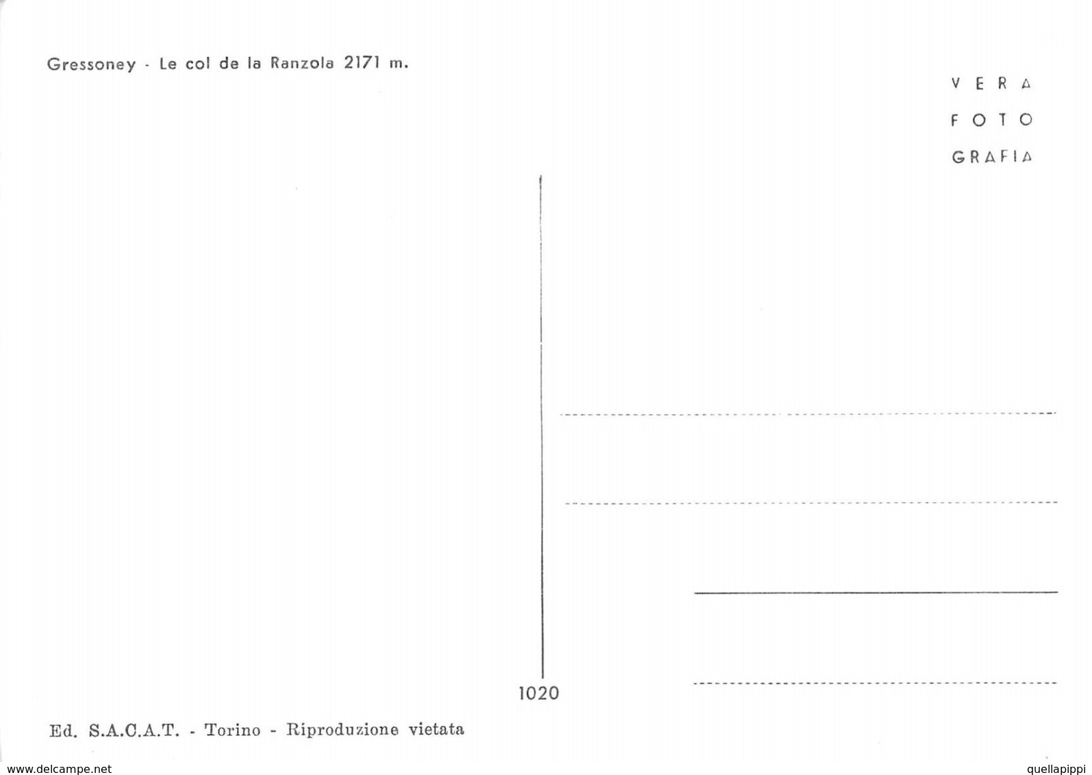 07428 "(AO) GRESSONEY - COLLE DELLA RANZOLA M. 2171" MUCCHE, VERA FOTO, S.A.C.A.T.  1020. CART NON SPED - Altri & Non Classificati