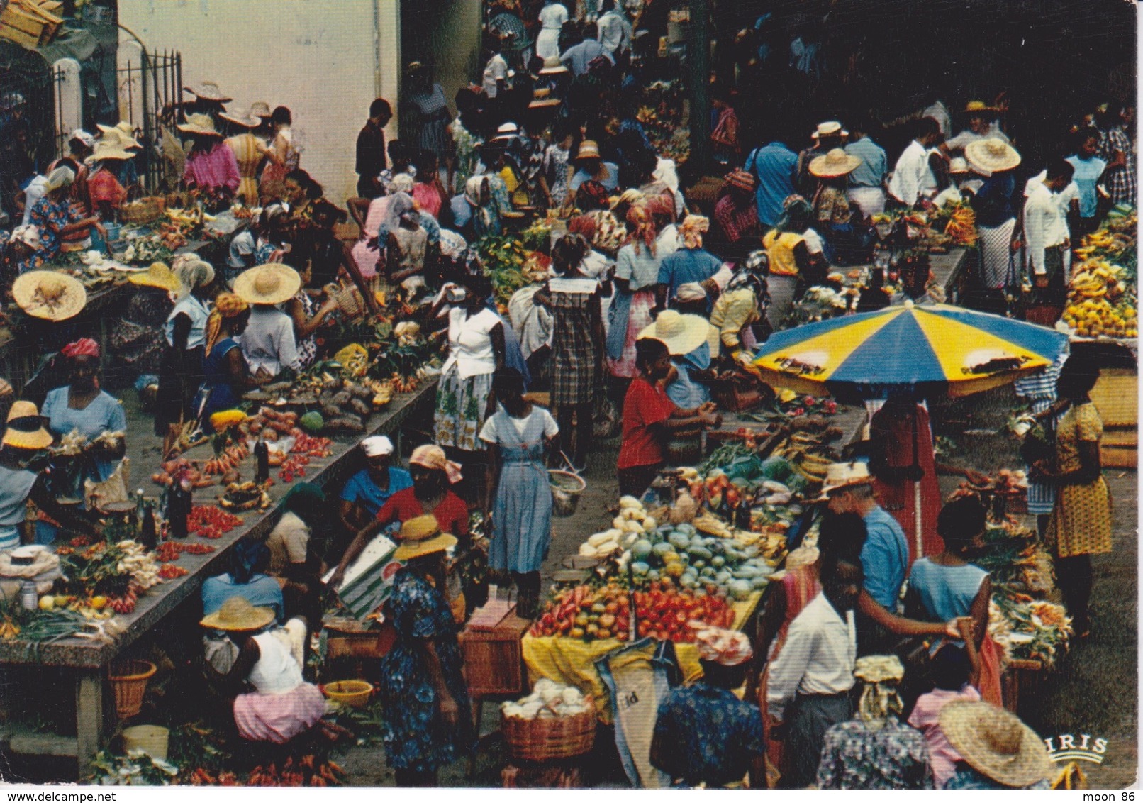 GUADELOUPE - MARCHÉ AUX ANTILLES FRANÇAISES - MARKET - Pointe A Pitre