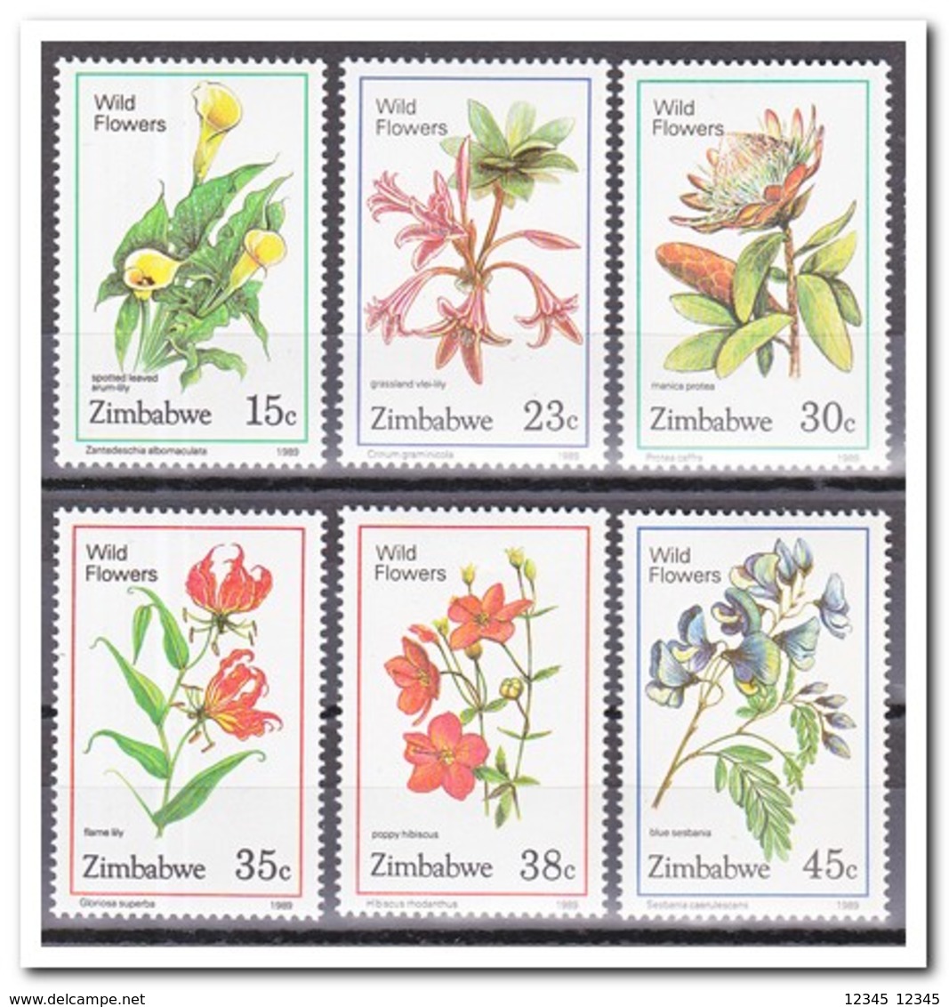 Zimbabwe 1989, Postfris MNH, Flowers - Zimbabwe (1980-...)
