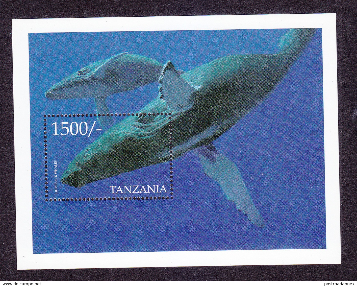 Tanzania, Scott #2047-2048, Mint Never Hinged, Marine Life, Issued 1999 - Tanzania (1964-...)