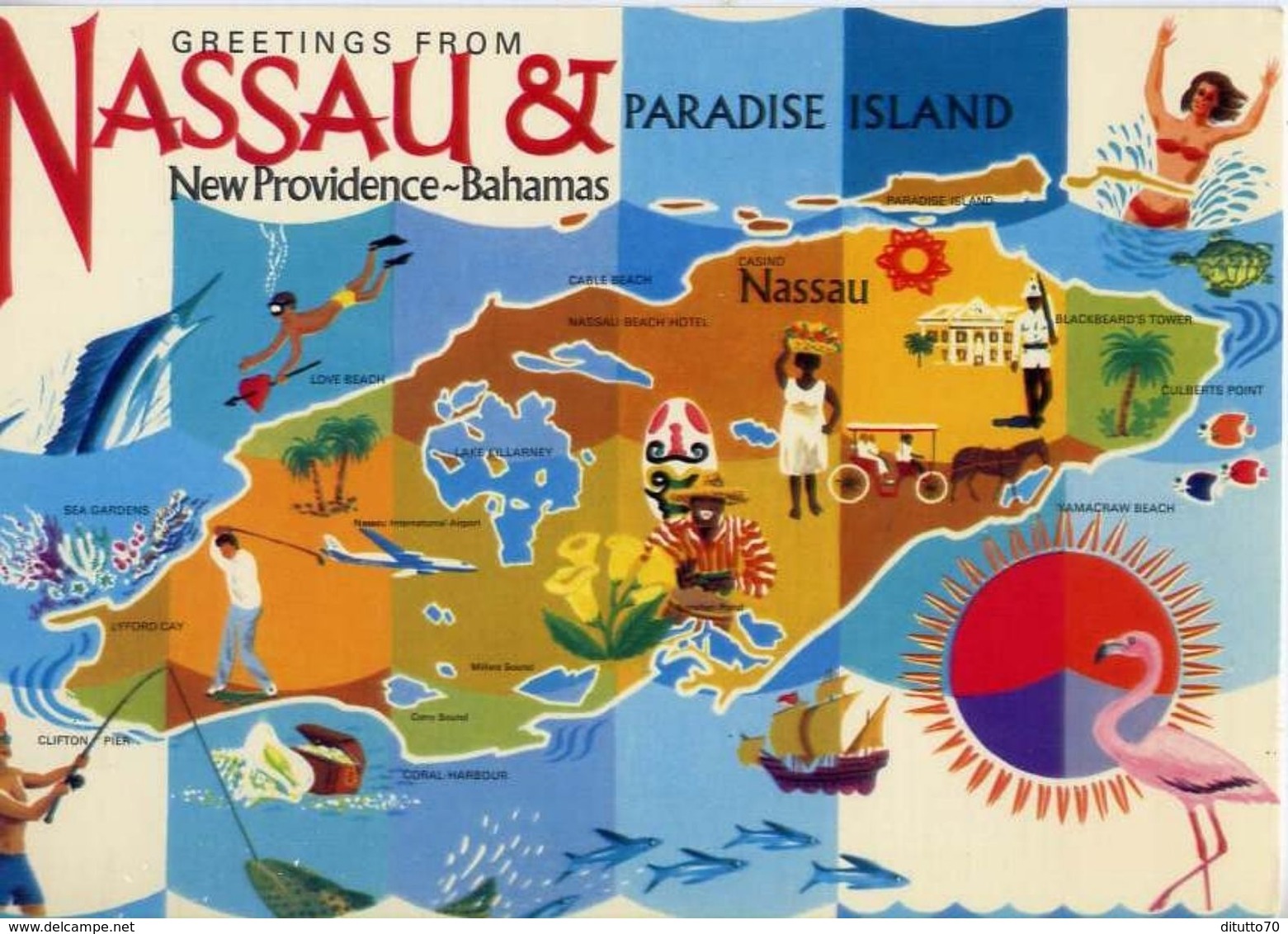 Greetings From Nassau - New Providence - Bahamas - Formato Grande Non Viaggiata – E 4 - Mondo