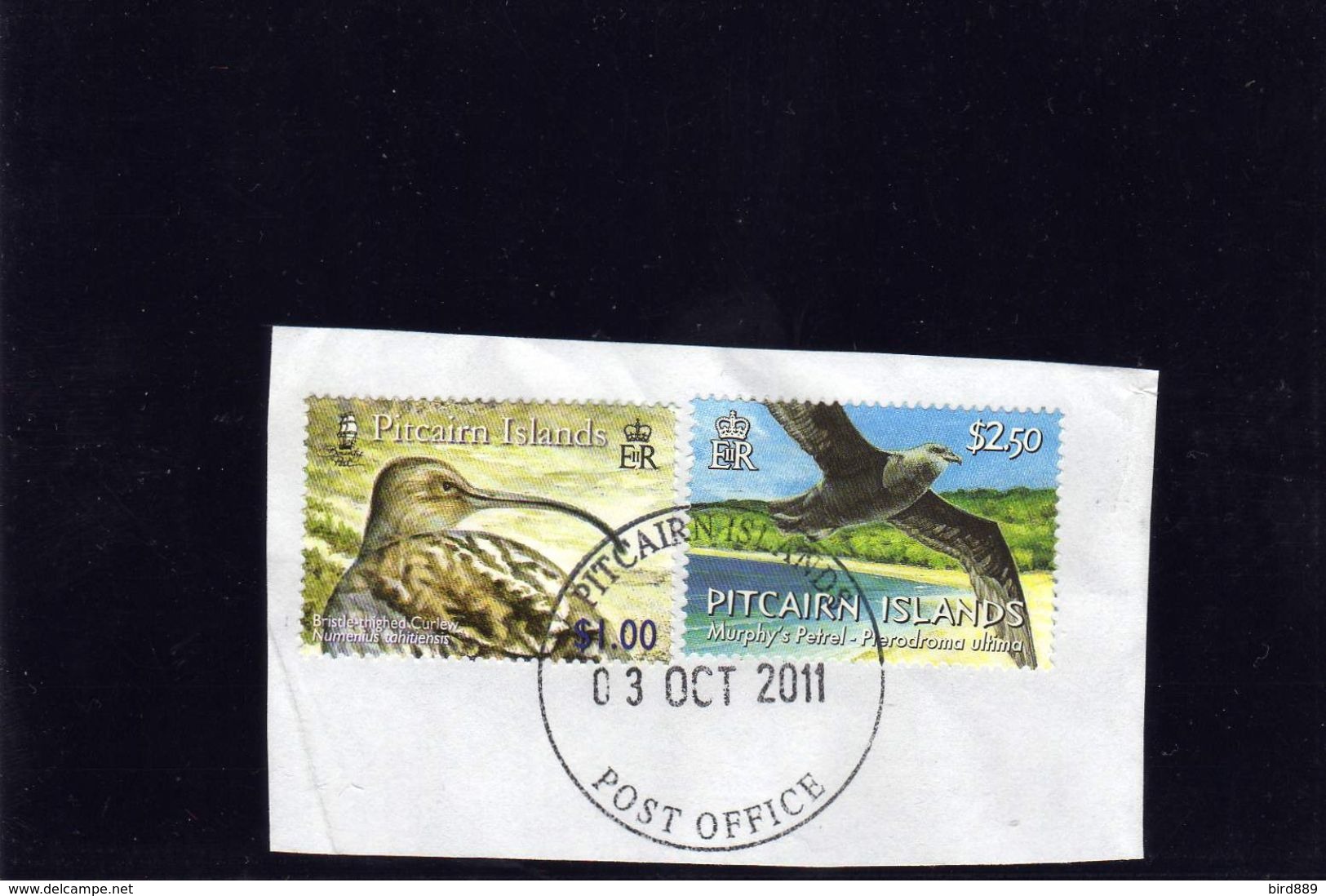 Pitcair Island Bird Petrel And Curlew Used - Pitcairn Islands