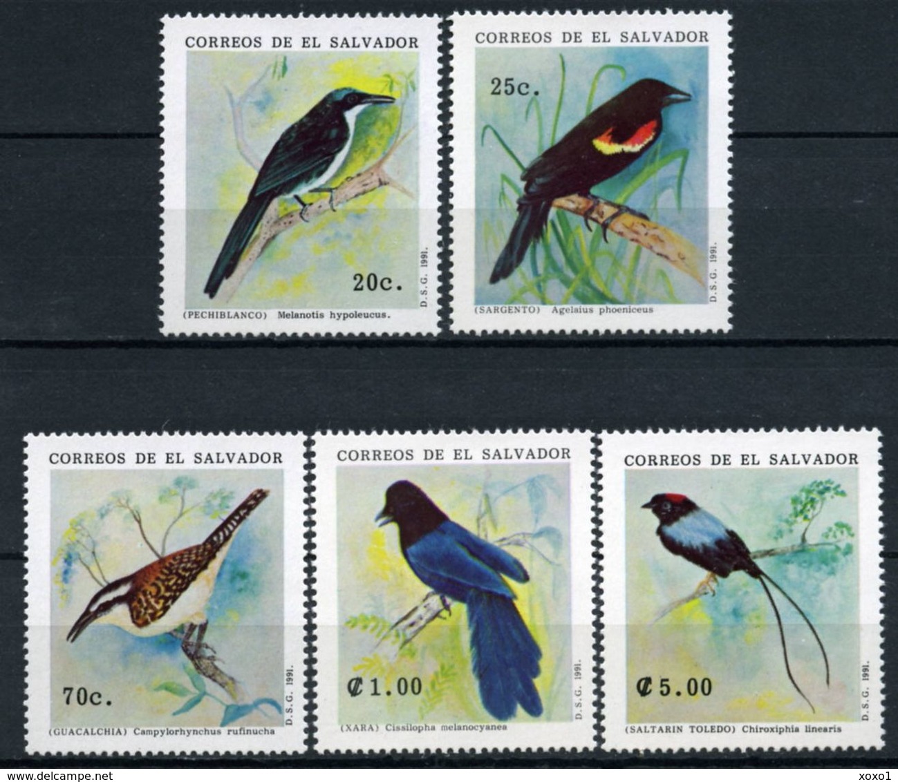 El Salvador 1991 Birds 5v MNH** - Autres & Non Classés