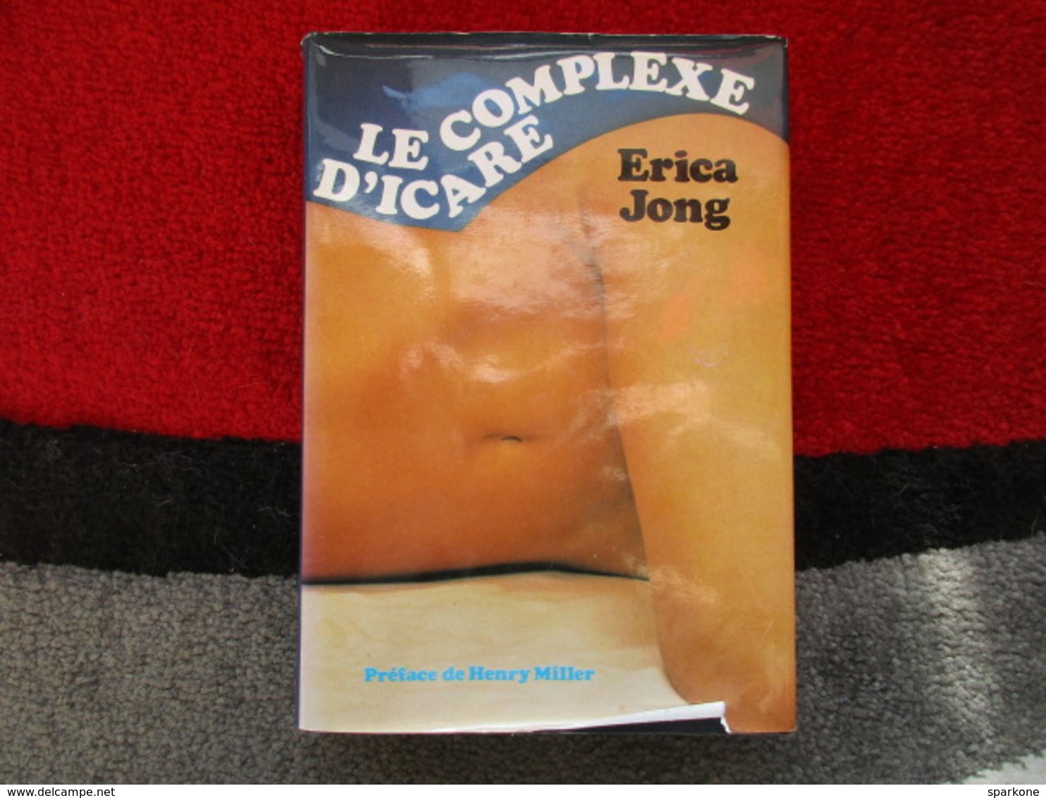 Le Complexe D'Icare (Erica Jong) éditions France Loisirs De 1977 - Andere & Zonder Classificatie