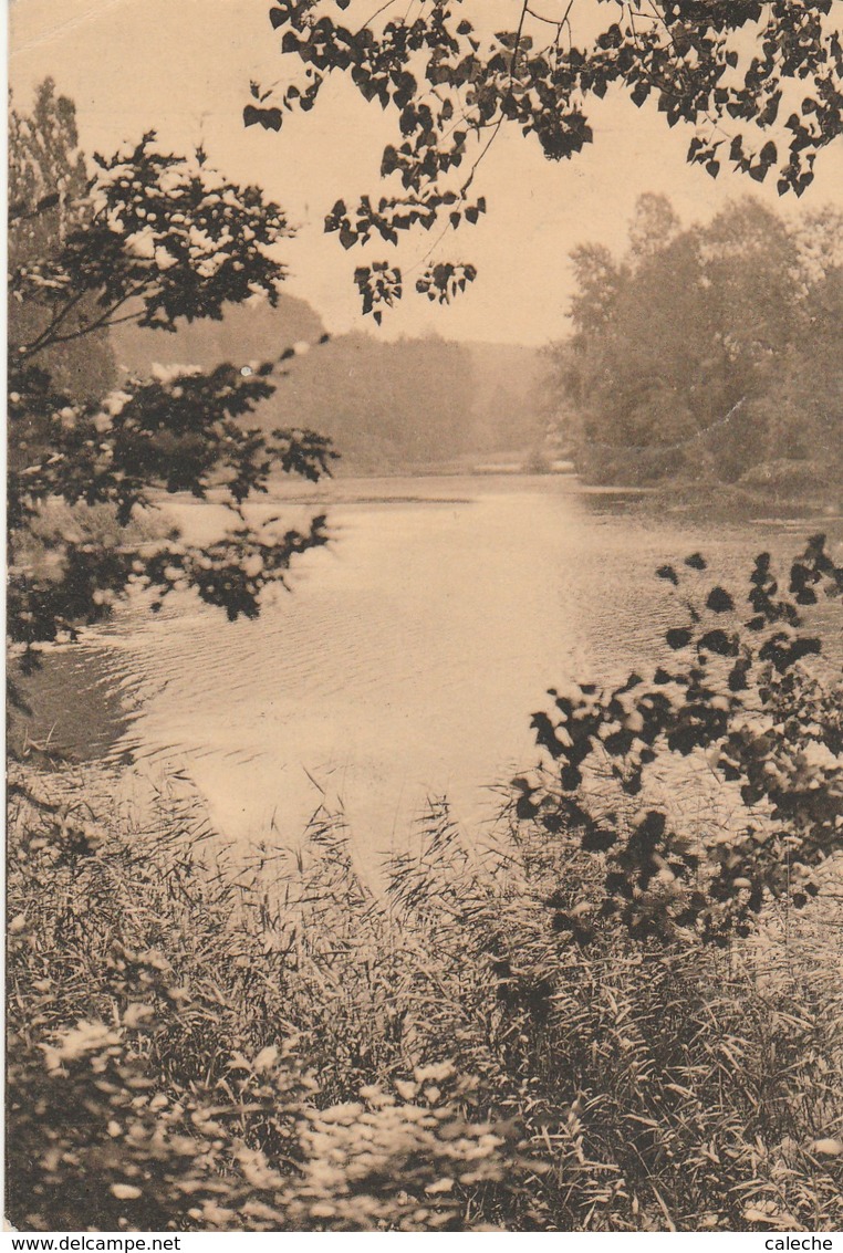 Fortune Griffe Grimbergen Vers Neufchateau (Laroche Grand Rue) Sur CP Ligue Des Amis De La Foret De Soignes - Fortune (1919)