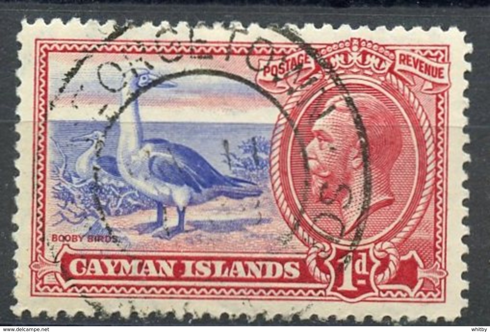 Cayman Islands 1935 1p Boobies Issue  #87 - Iles Caïmans