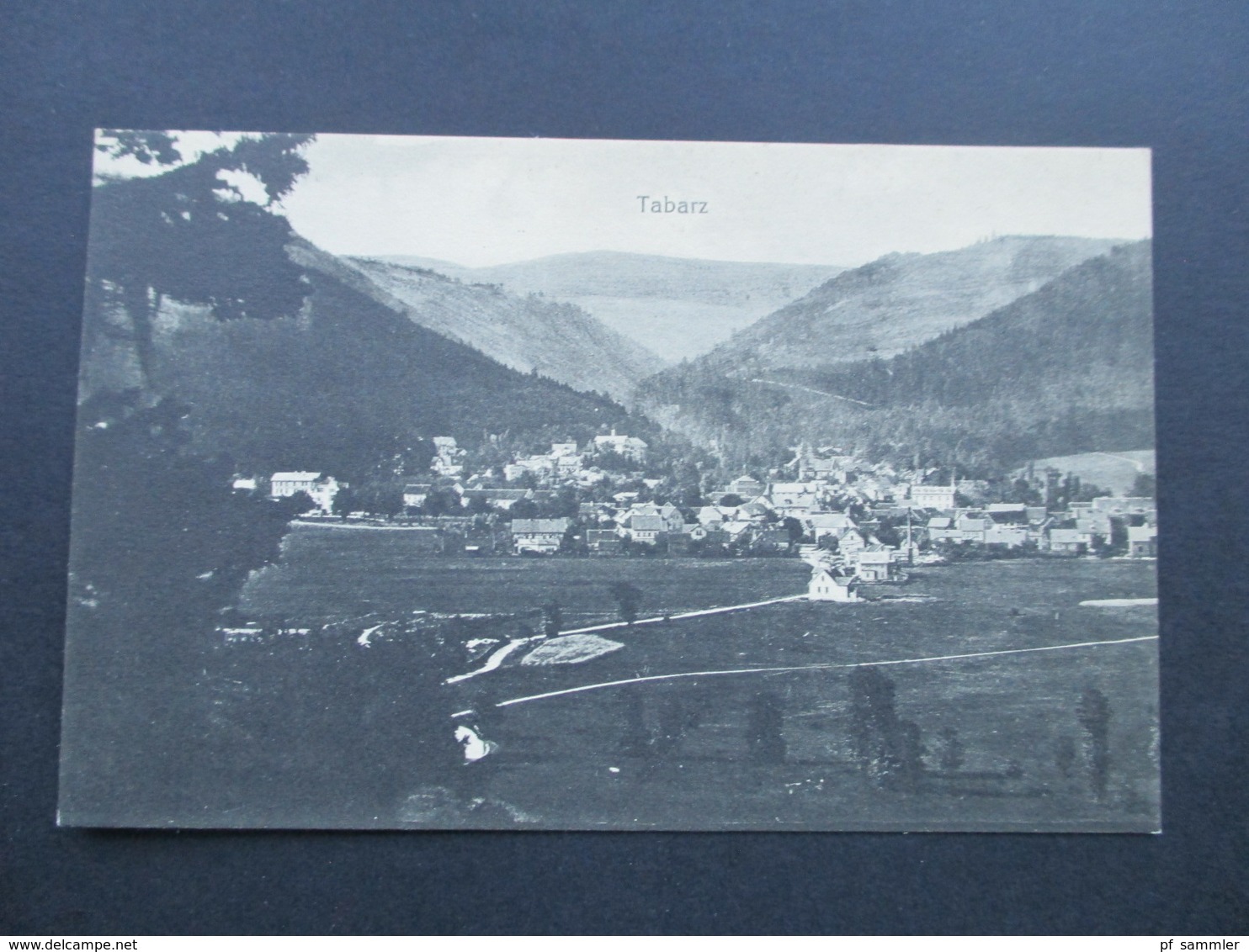 AK Tabarz Panorama. Aufnahme Und Verlag Ad. Neumann, Tabarz. - Tabarz