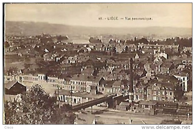 LIEGE - Vue Panoramique - Luik
