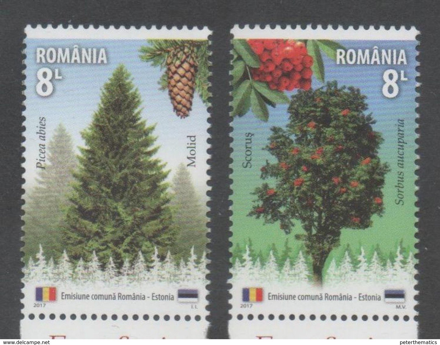 ROMANIA, 2017, MNH, JOINT ISSUE WITH ESTONIA, TREES, 2v - Joint Issues