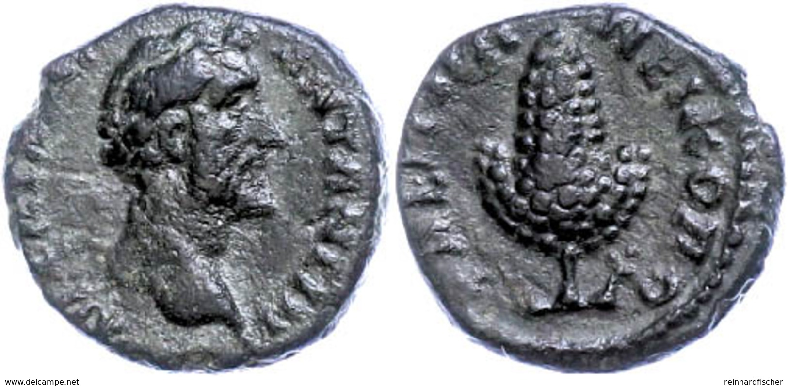 52 Moesia Inferior, Nikopolis, Æ (2,52g), Antoninus Pius, 138-161. Av: Kopf Nach Rechts, Darum Umschrift. Rev: Weinrebe, - Röm. Provinz