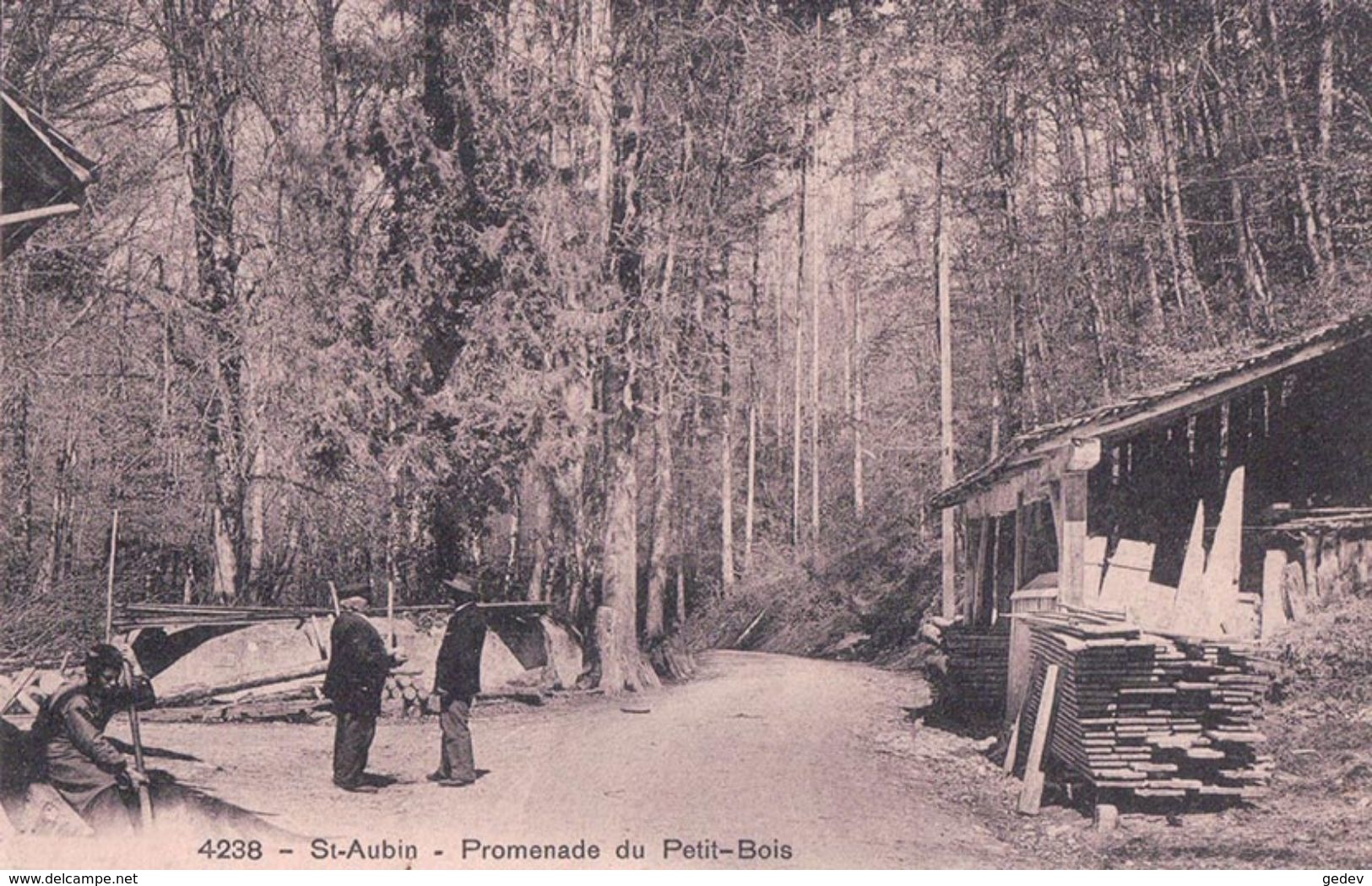 St Aubin, Promenade Du Petit-Bois (25.9.1911) - Saint-Aubin/Sauges