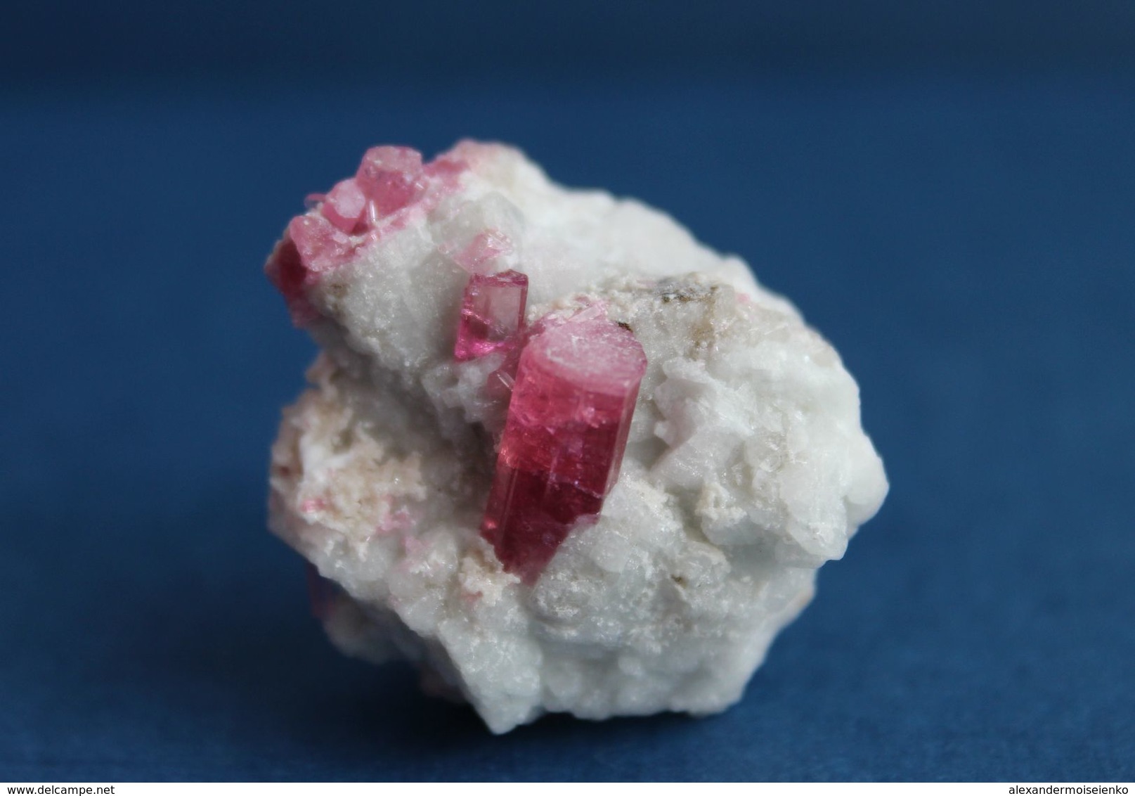 12.91 G Pink Tourmaline Crystals In Quartz Matrix. Russia - Minéraux