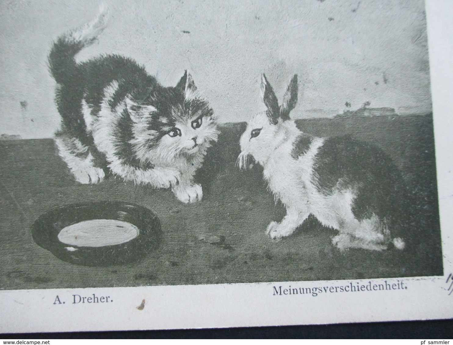 Österreich 1898 Prag. Katze Und Kaninchen. A. Dreher Meinungsverschiedenheit. Fr. A. Ackermann Kunstverlag München - Sonstige & Ohne Zuordnung