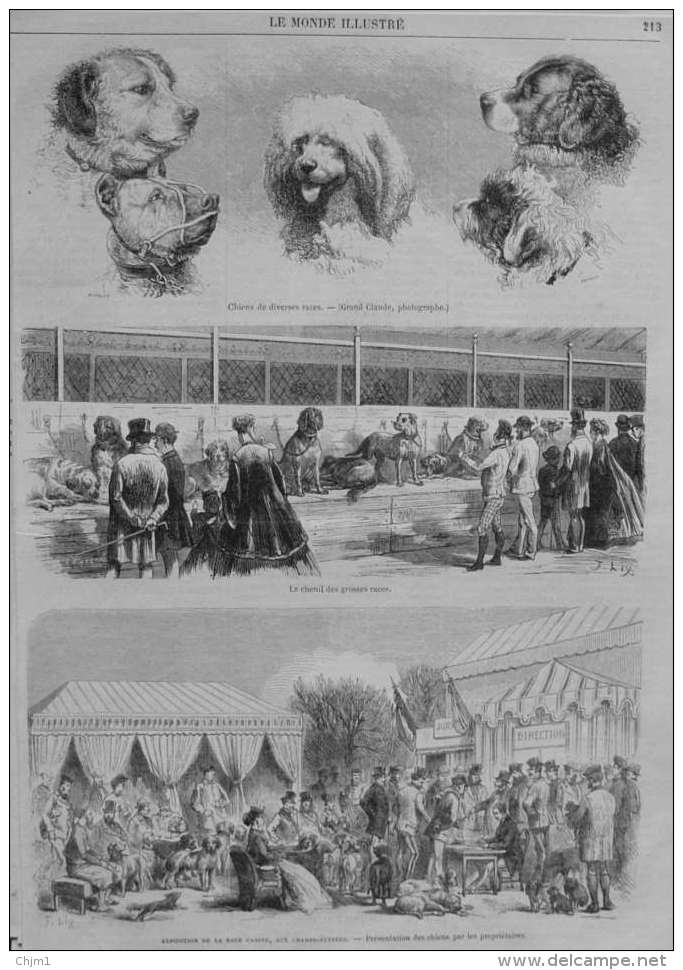 Exposition De La Race Canine, Aux Champs-Élysées - Le Chenil Des Grosses Races - Page Original 1870 - Documents Historiques