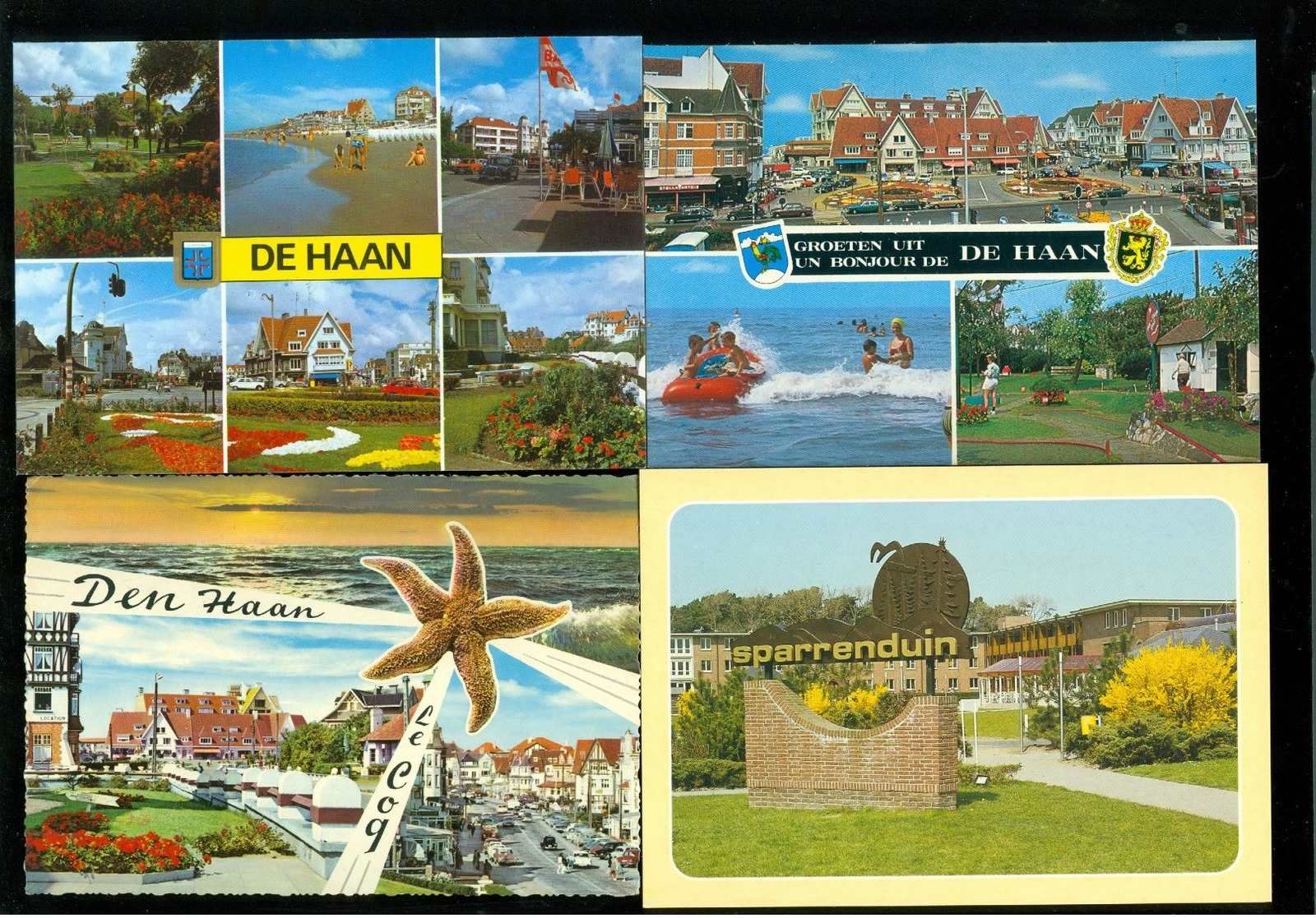 Beau lot de 60 cartes postales semi modernes grand format de Belgique La côte  Coq /Mer  60 postk. gr.form. kust De Haan