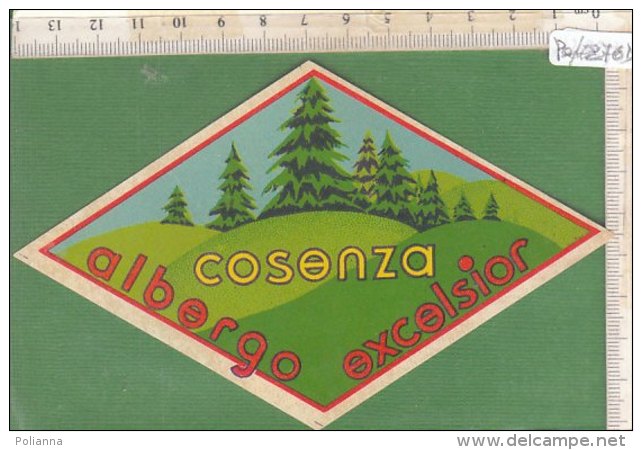 PO7276D# ETICHETTA - ADESIVI ALBERGHI - HOTEL EXCELSIOR COSENZA - Hotel Labels