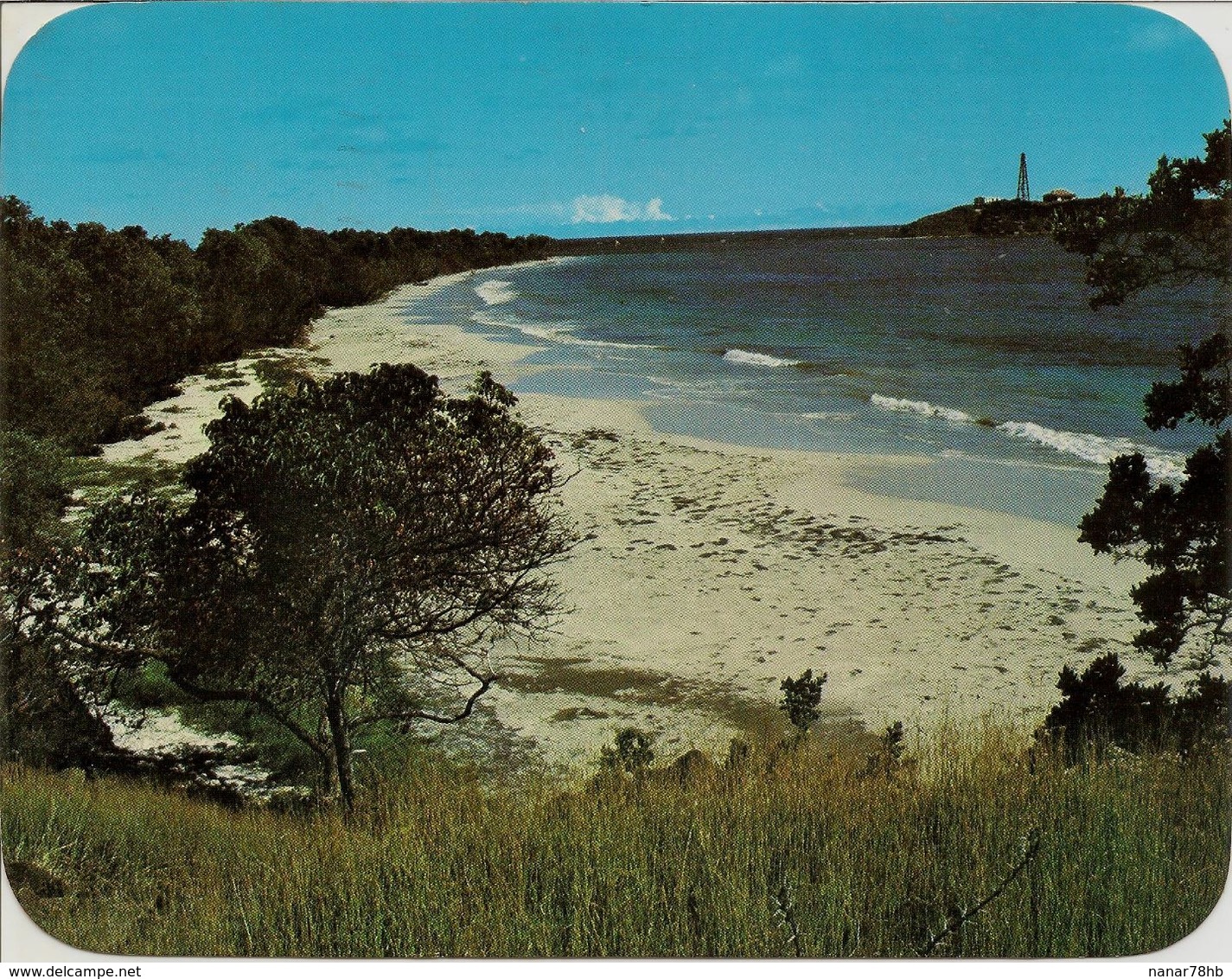 CPM Martinique, Plage Des Grandes Terres Aux Salines - Autres & Non Classés