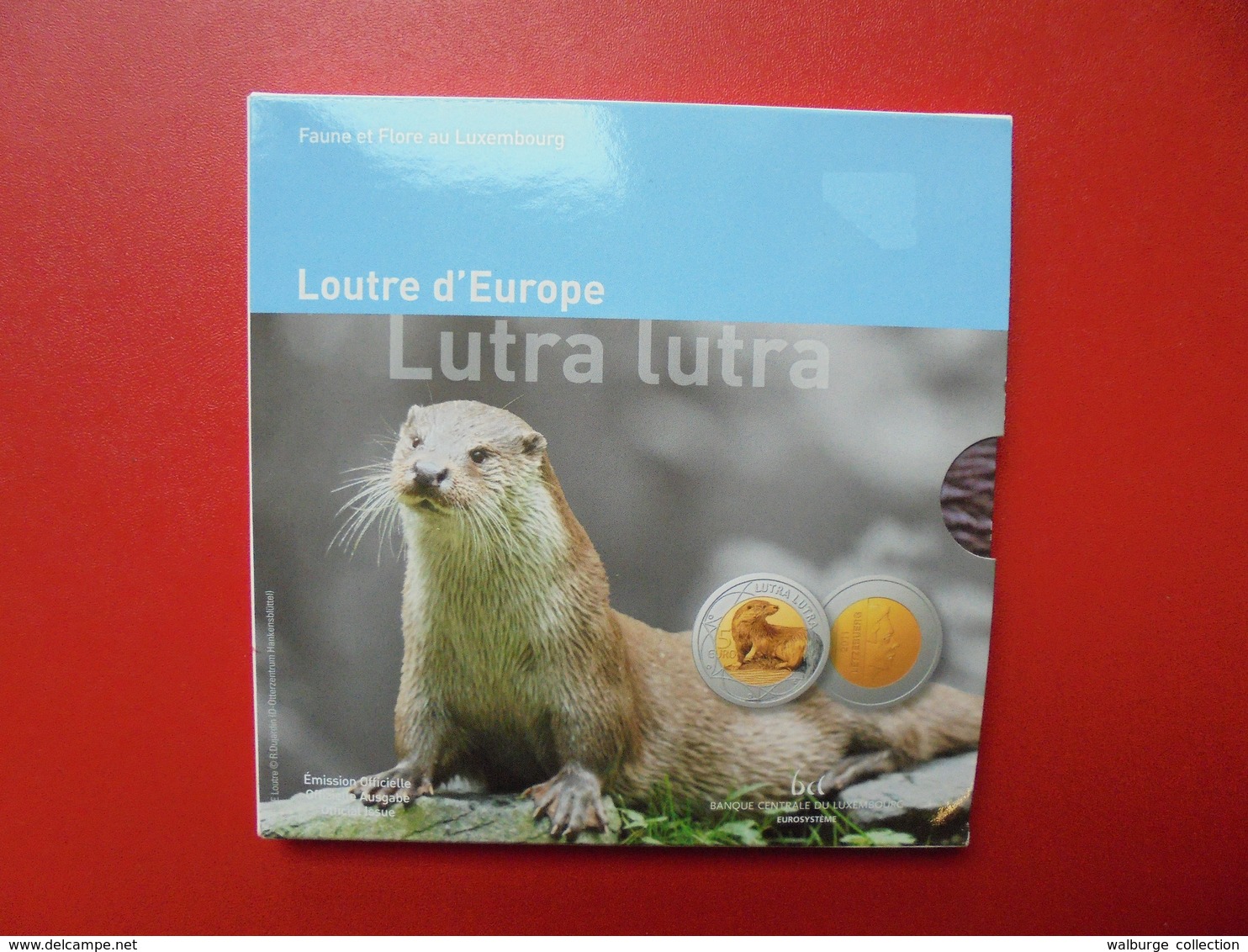 LUXEMBOURG RARE !!! 3000 EXEMPLAIRES ! 5 EURO 2011 "LOUTRE" - Luxembourg