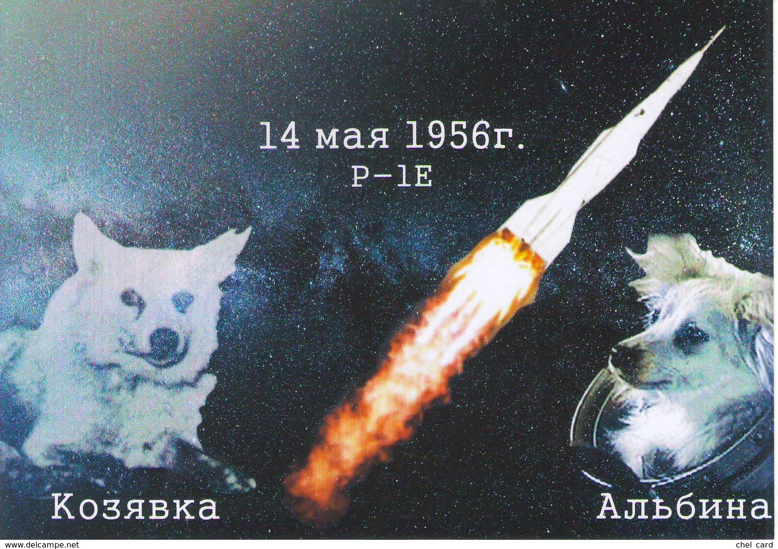 [2017, Space, Dogs, Rockets] Postcard "[Flight On A Geophysical Rocket Of Dogs] Kozyavka, Albina. May 14, 1956. P-1E" - Russie