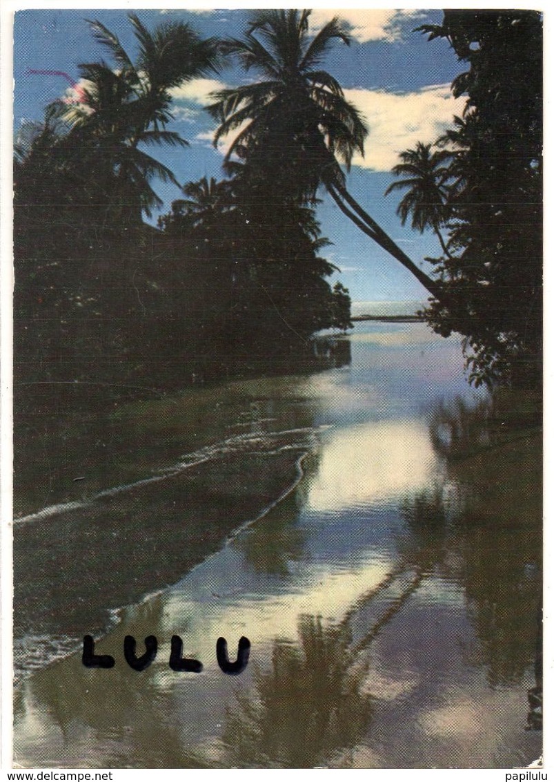 MARTINIQUE : Embouchure De La Rivière Touza A L Anse Madame - Autres & Non Classés