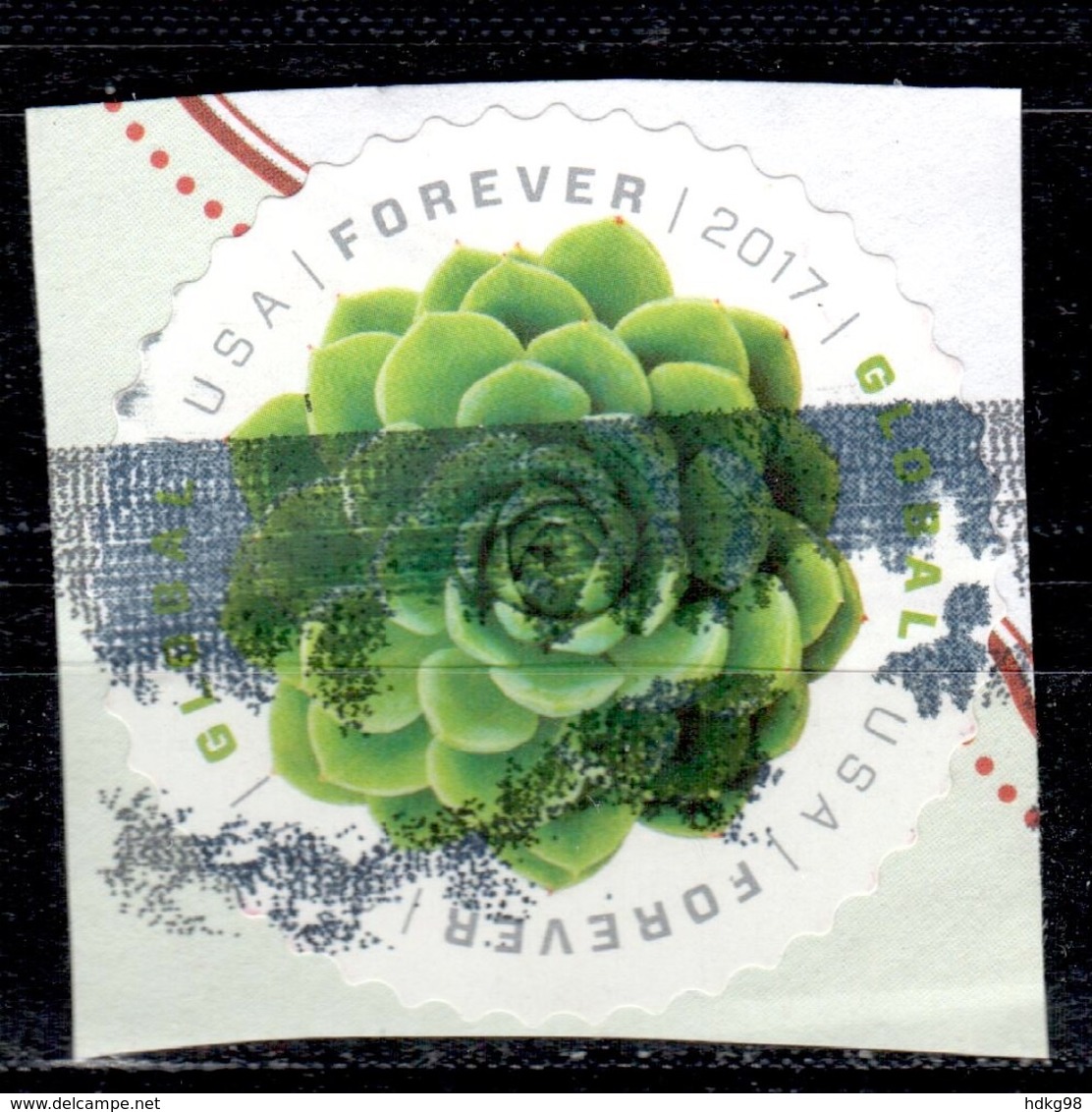 US+ 2017 Mi 5391 Echeveria Elegans - Unused Stamps