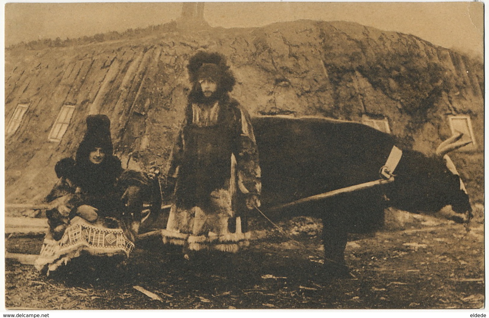 Homme De Lettres Et Sa Femme En Exil  Laponie Attelage De Boeuf - Norway