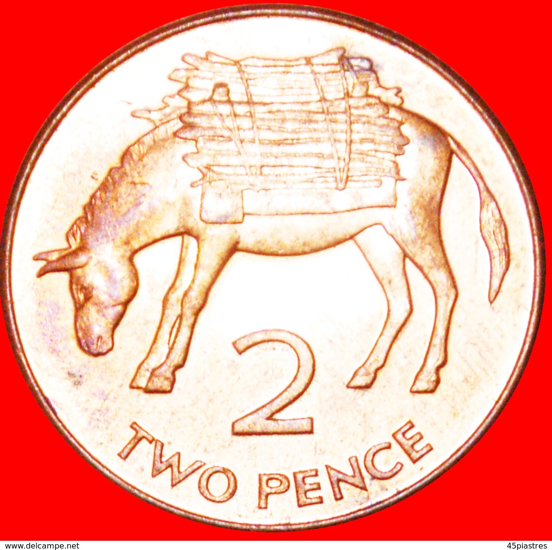 √ DONKEY: ST. HELENA + ASCENSION ★ 2 PENCE 2006 MINT LUSTER!  LOW START ★ NO RESERVE! - Sainte-Hélène