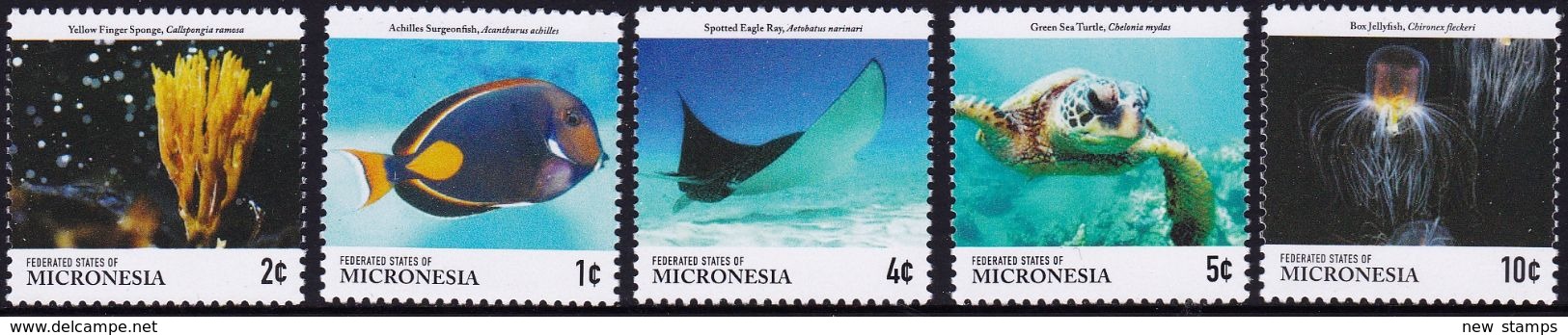 Micronesia 2015 Definitives Marine Life Fishes Turtles 5v MNH - Pesci