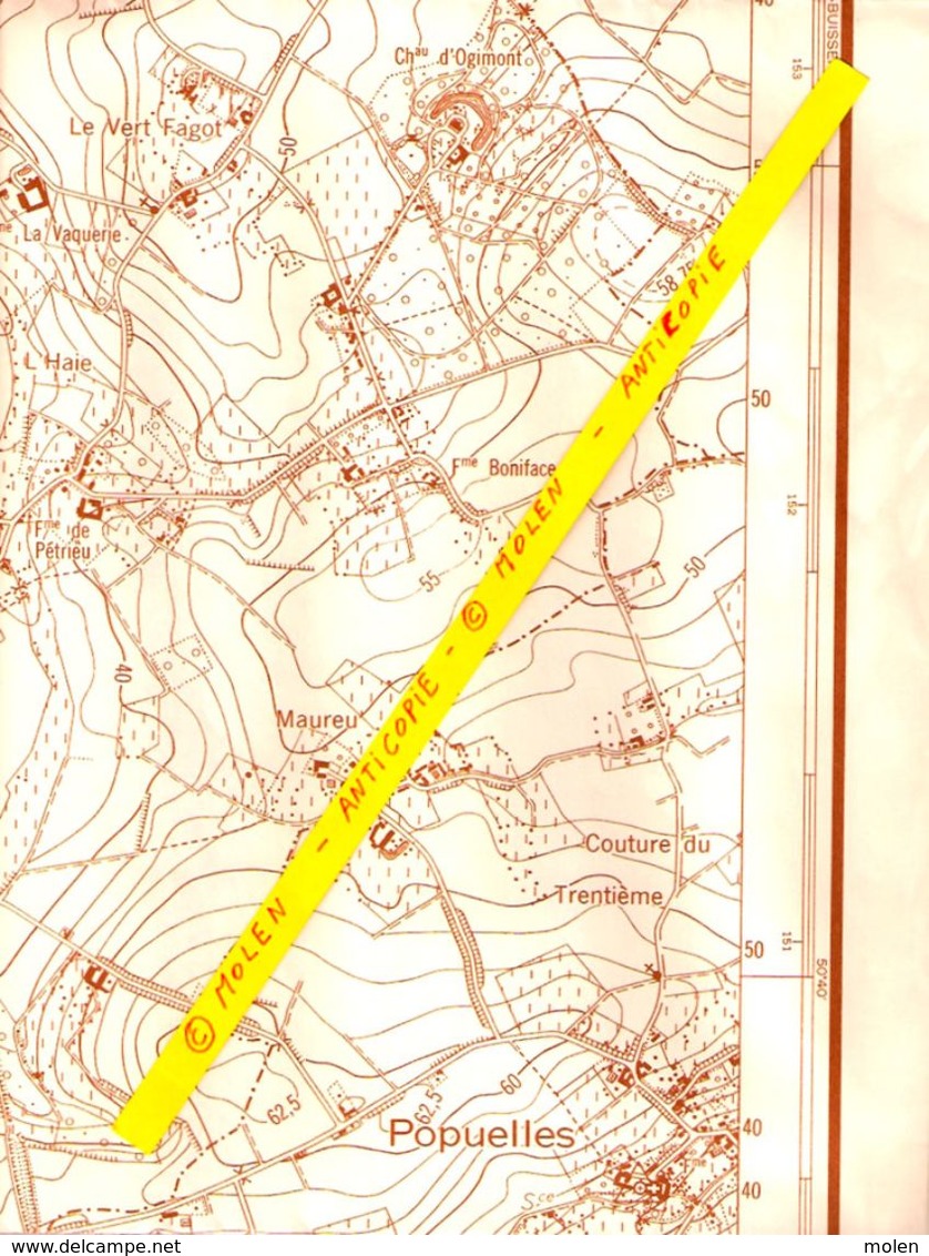 GRANDE CARTE D ETAT MAJOR CELLES-LEZ-TOURNAI 1960 MOLENBAIX VELAINES POPUELLES MELLES QUARTES MOURCOURT BIZENCOURT S329