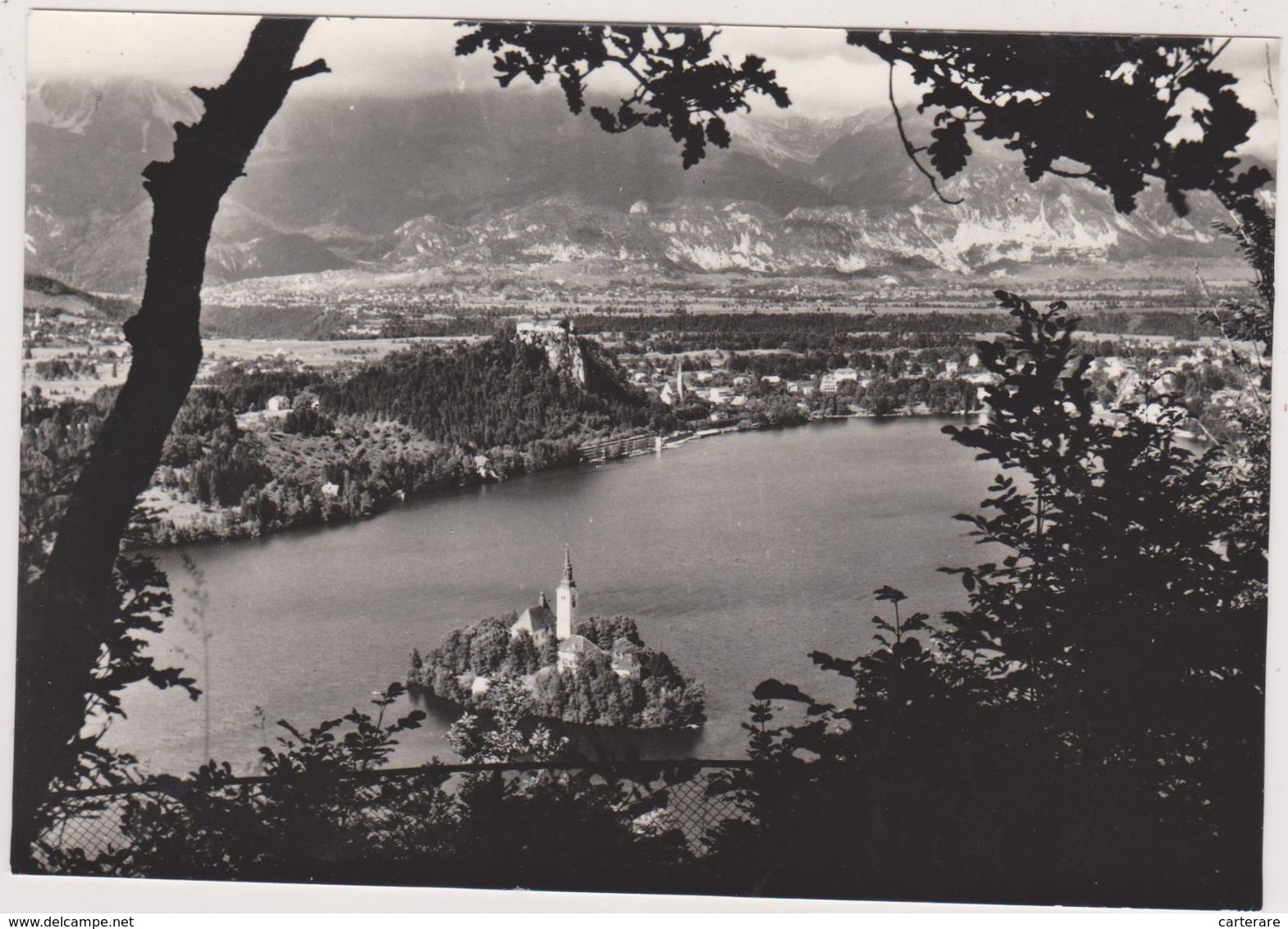 Slovénie,ex Yougoslavie,le Lac De BLED,gorenjska,haute Carniole,pied Des Alpes Juliennes,CARTE PHOTO - Slovénie