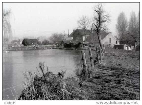 WAMBEEK - Ternat (Brab.) - Molen/moulin - Prachtige Reeks Van TIEN Postkaarten Van De Klapscheutmolen In Bedrijf (1982) - Ternat