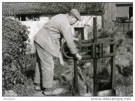 WAMBEEK - Ternat (Brab.) - Molen/moulin - Prachtige Reeks Van TIEN Postkaarten Van De Klapscheutmolen In Bedrijf (1982) - Ternat