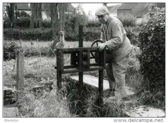 WAMBEEK - Ternat (Brab.) - molen/moulin - Prachtige reeks van TIEN postkaarten van de Klapscheutmolen in bedrijf (1982)