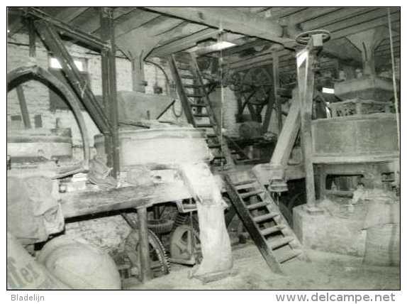 WAMBEEK - Ternat (Brab.) - molen/moulin - Prachtige reeks van TIEN postkaarten van de Klapscheutmolen in bedrijf (1982)