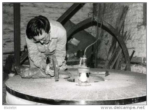 WAMBEEK - Ternat (Brab.) - molen/moulin - Prachtige reeks van TIEN postkaarten van de Klapscheutmolen in bedrijf (1982)