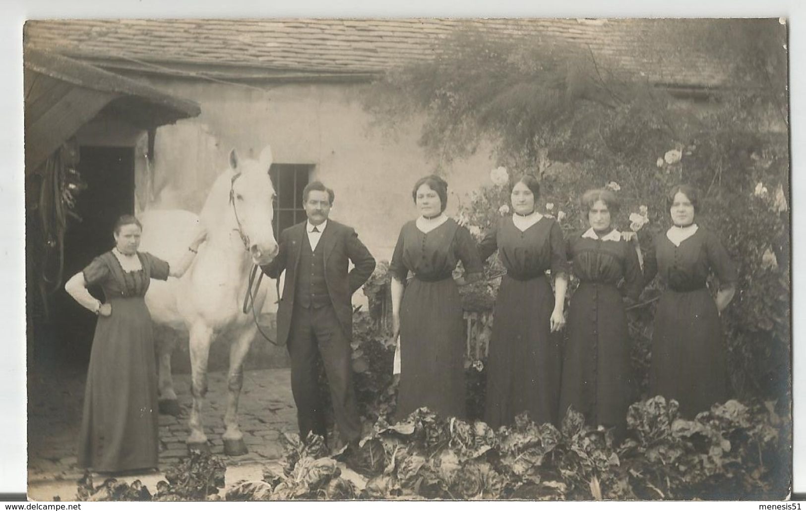 CPA Photo Famille Prenant La Pose Dans La Cour D'une Maison Avec Leur Cheval Blanc - A Identifier