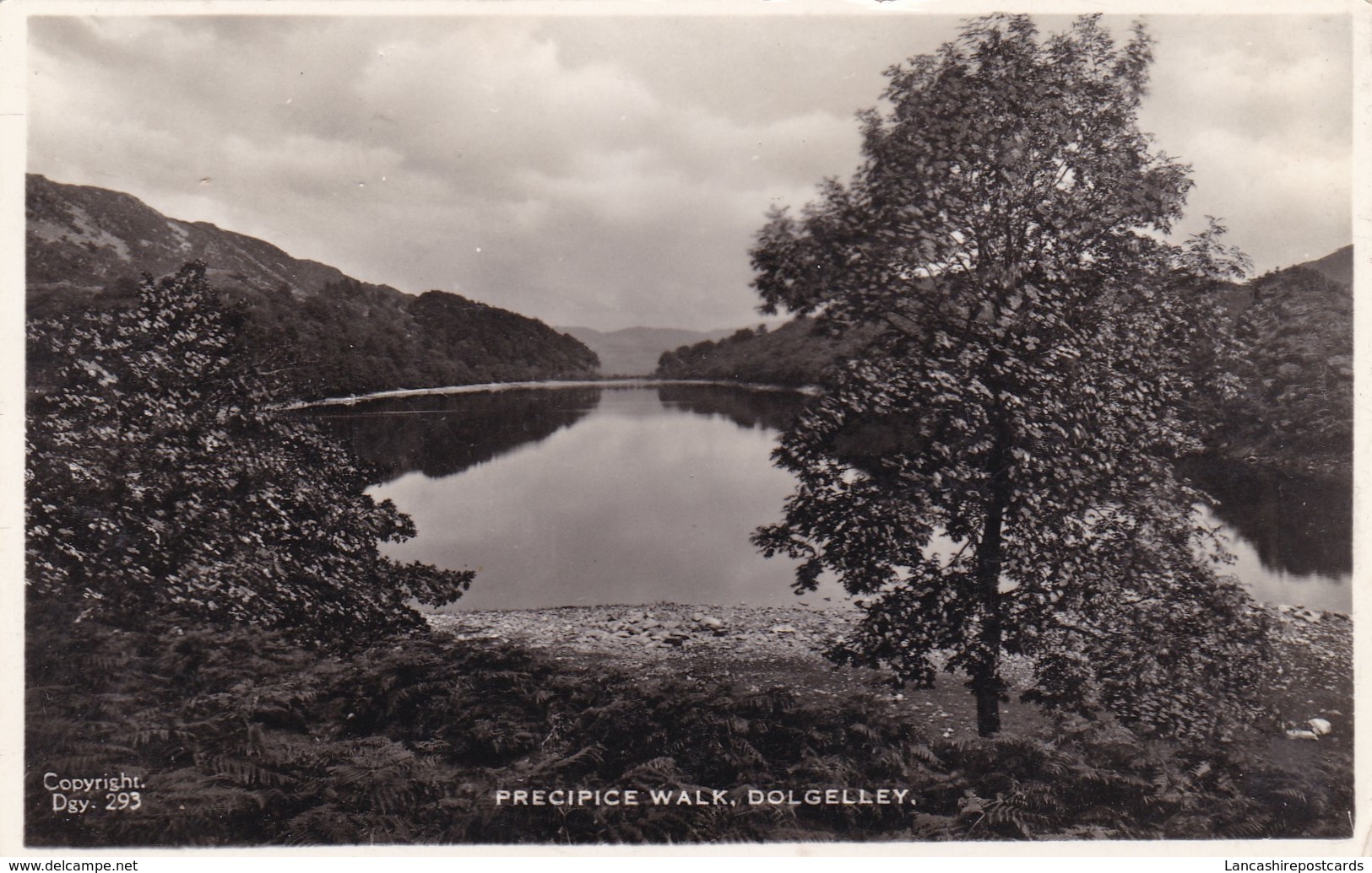 Postcard Precipice Walk Dolgelley [ Dolgellau ] Tuck RP My Ref  B11948 - Merionethshire