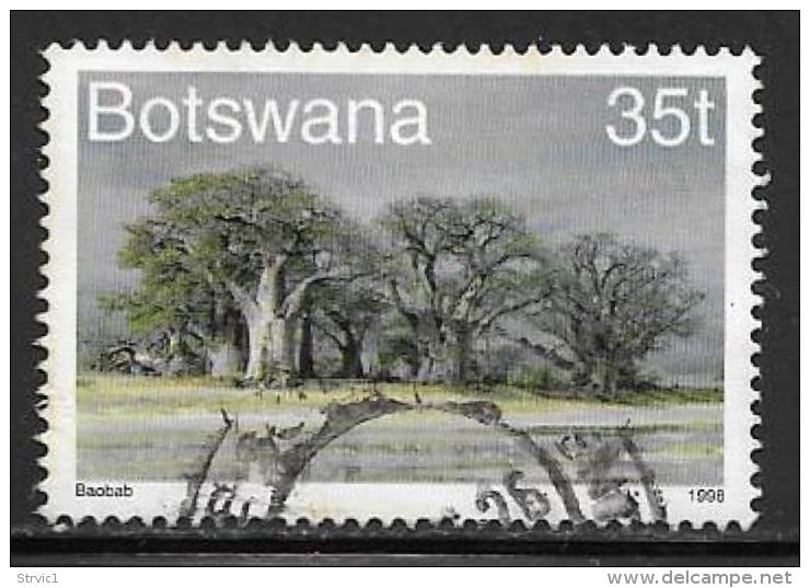 Botswana, Scott # 655 Used Tourism, Trees, 1998 - Botswana (1966-...)