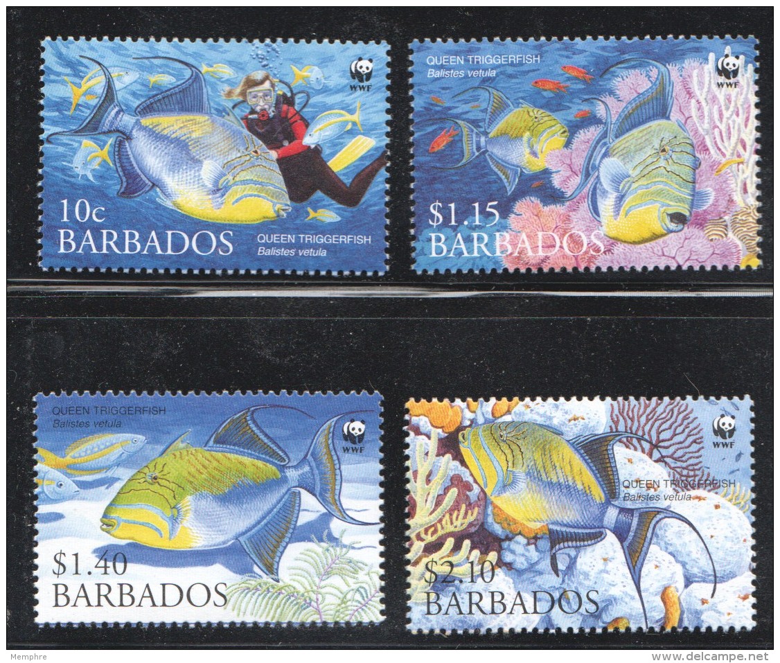 BARBADOS 2006  C Fishes  WWF Issue Set Of 4 UM - MNh - Barbados (1966-...)