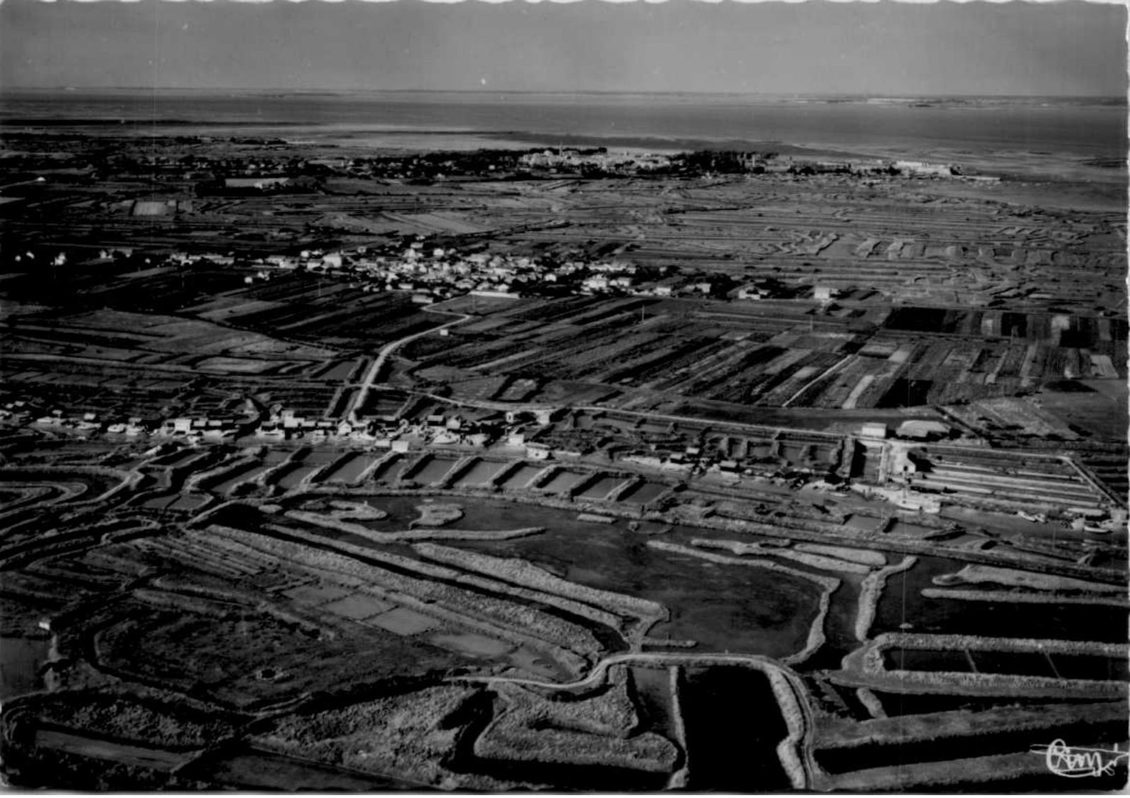 20 CPSM /    ILE  OLERON / LOT 1 - 5 - 99 Cartes