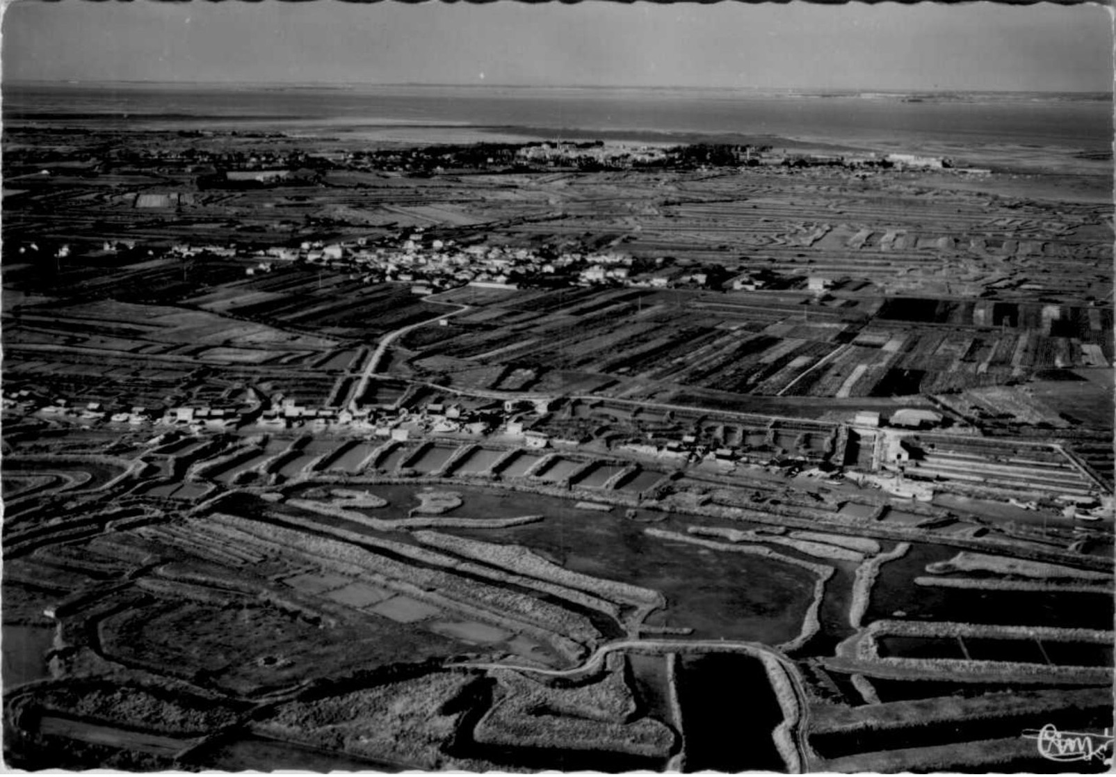 ILE  D'OLERON  / 20 CPSM/ CPM  /LOT  3 - 5 - 99 Cartes