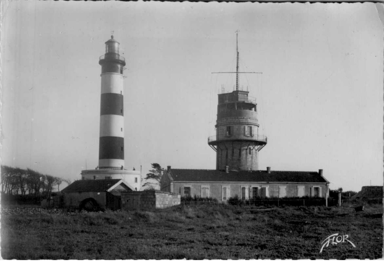 ILE  D'OLERON  / 20 CPSM/ CPM  /LOT  3