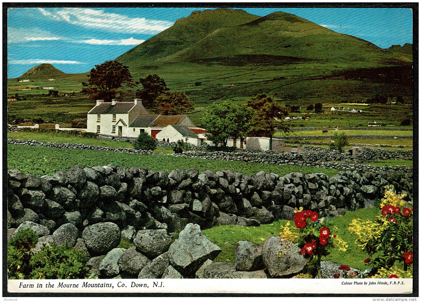 RB 1192 - 1965 John Hinde Postcard - Farm In The Mourne Mountains County Down Ireland - Down