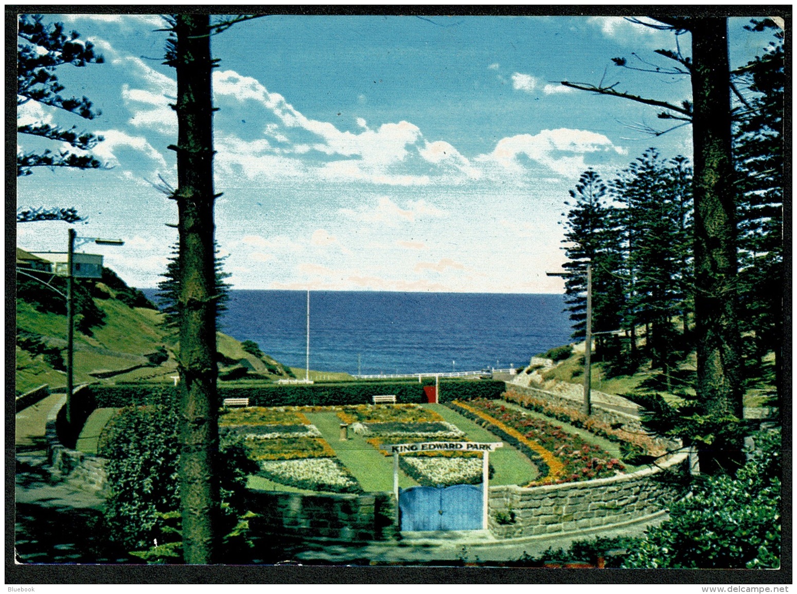 RB 1192 - Postcard - King Edward Park Newcastle - New South Wales Australia - Newcastle