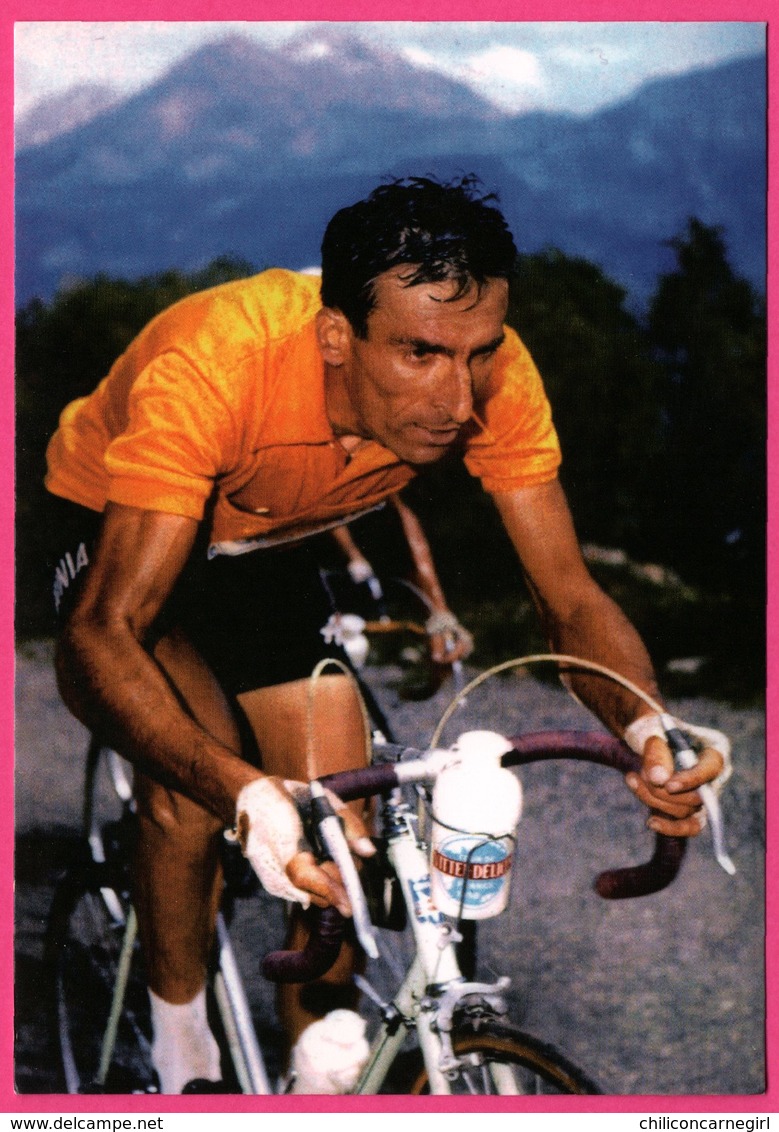 Cycliste - Cyclisme - RAPHAEL GEMINIANI - Maillot Jaune Tour 1958 - Sponsor - Pub - Cyclisme