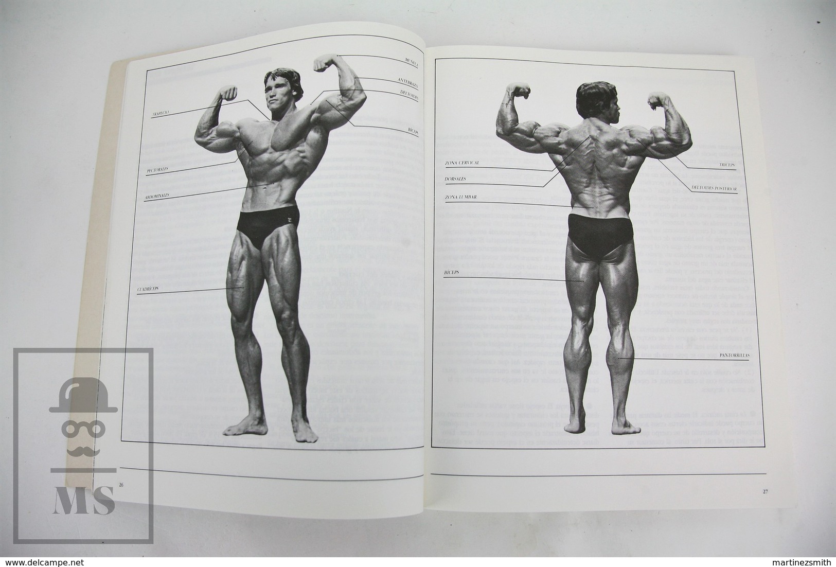 Arnold Schwarzenegger & Bill Dobbins - Bodybuilding - Spanish Edition - Sports