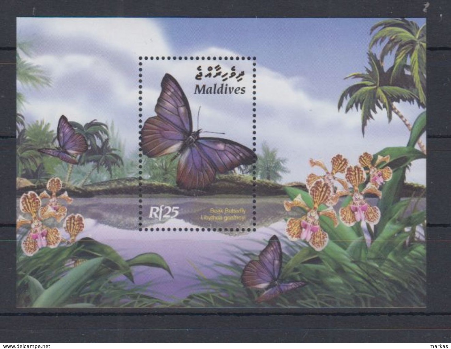 U62. MNH Maldives Nature Animals Insects Butterflies - Farfalle