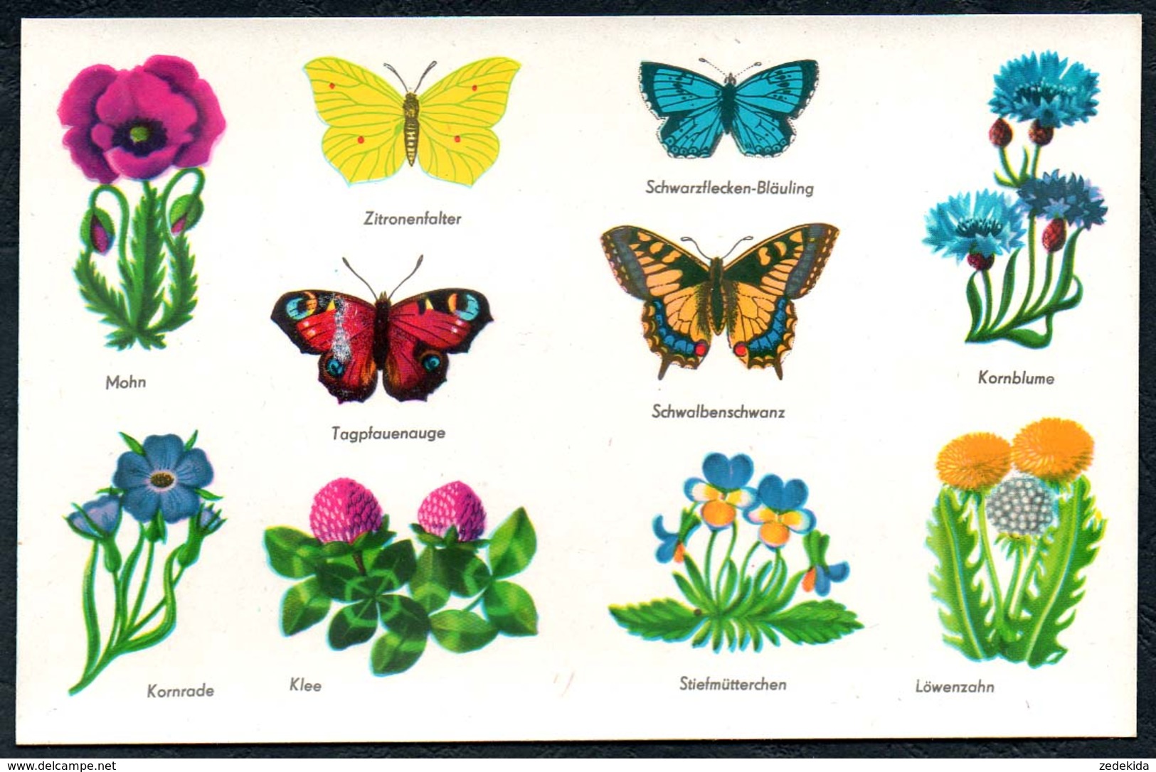 B1393 - Abziehbild Schiebebild -  Planet Verlag Berlin DDR 1977 - Schmetterling Blumen - Altri & Non Classificati